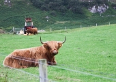 schottland-323-von-595